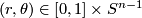 \left(r,\theta\right)\in \left[0,1\right]\times S^{n-1}